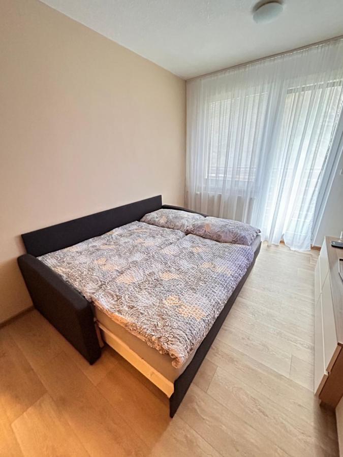 Apartman Na Kraji Lesa Všemina Εξωτερικό φωτογραφία